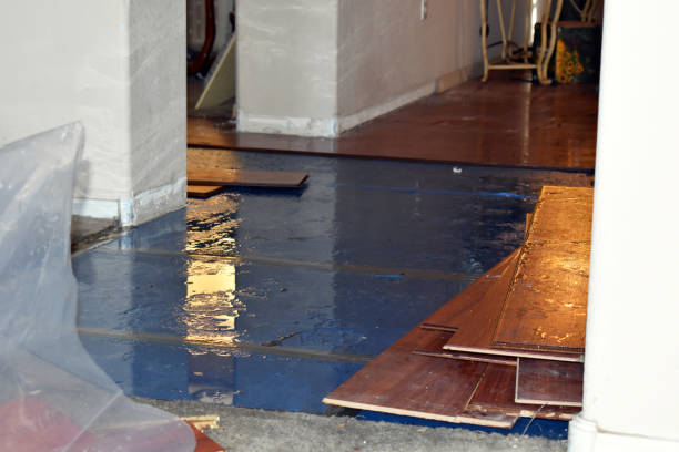 Professional Emergency Water Damage Restoration technician working in Ashland, NH